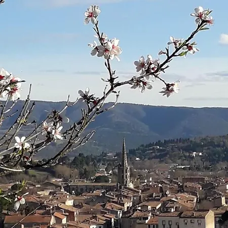 Apartman Studio Avec Wifi A Limoux